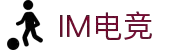 IM(股份有限公司)电竞-电子竞技平台